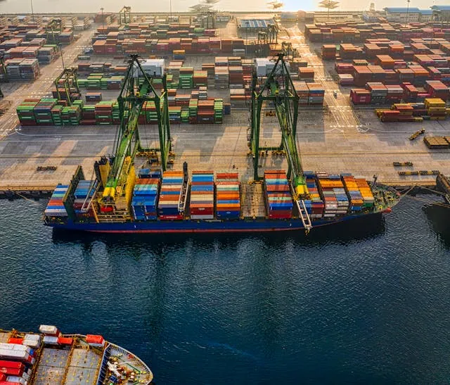 Packaging & Cold Chain Logistics